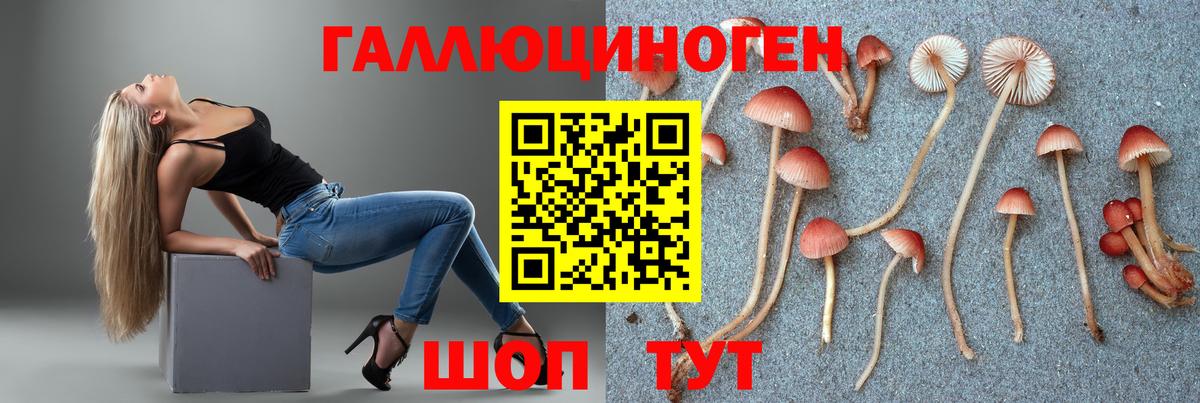 Галлюциногенные грибы ЛСД  Псилоцибиновые грибы мицелий  Александров  Вход с VPN 